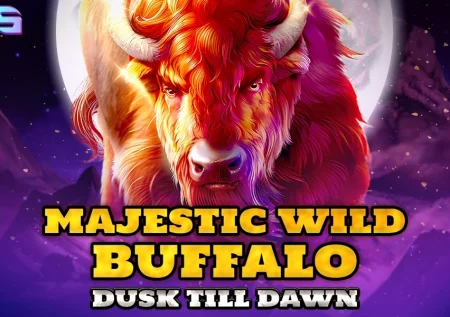 Majestic Wild Buffalo – Dusk Till Dawn