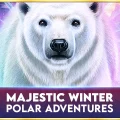 Majestic Winter – Polar Adventures