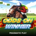 Odds On Winner