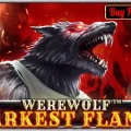 Werewolf Darkest Flame