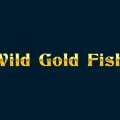 Wild Gold Fish