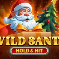Wild Santa – Hold & Hit