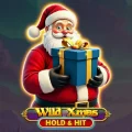 Wild Xmas Hold & Hit