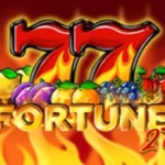 Fortune 27
