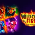 Wild Cats Fire