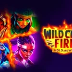 Wild Cats Fire