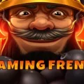 Flaming Frenzy