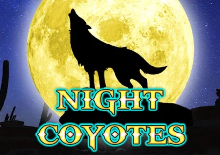 Night Coyotes