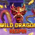 Wild Dragon Respin
