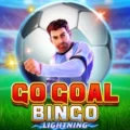 Go Goal Bingo
