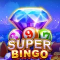 Super Bingo