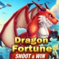 Dragon Fortune