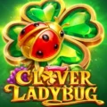 Clover Ladybug