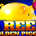 1 Reel Golden Piggy