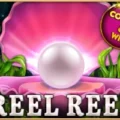 1 Reel Reef
