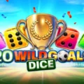 20 Wild Goals Dice