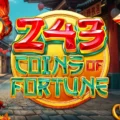 243 Coins of Fortune