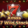 27 Wild Stacks Xmas