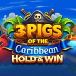 3 Pigs of the Caribbean Hold & Win