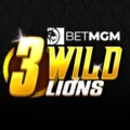 3 Wild Lions