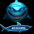 40 Sharks