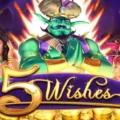 5 Wishes