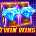 TWIN WINS