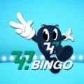 747 Bingo