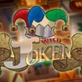 Wild Joker