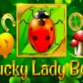 Lucky Lady Bug