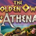 The Golden Owl of Athena