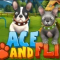 Ace and Flip