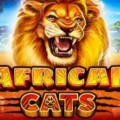 African Cats