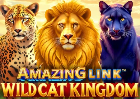 Amazing Link WildCat Kingdom