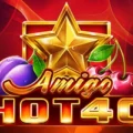 Amigo Hot 40