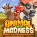 Animal Madness