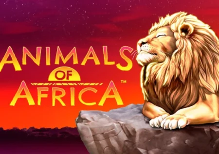 Animals of Africa