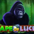 Ape of Luck