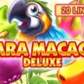 Ara Macao Deluxe