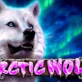Arctic Wolf