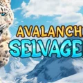 Avalanche Selvagem