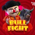 Bull Fight