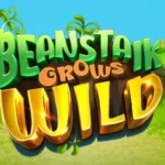 Beanstalk Grows Wild