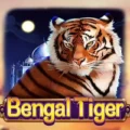 Bengal Tiger