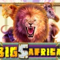 Big 5 Africa