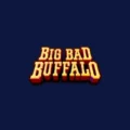 Big Bad Buffalo