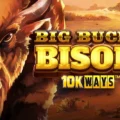 Big Bucks Bison 10K Ways