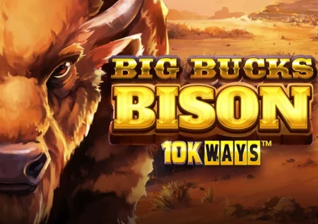 Big Bucks Bison 10K Ways