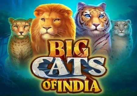 Big Cats of India