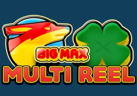 Big Max Multi Reel